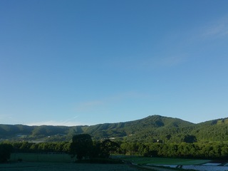 DSC_2427.jpg