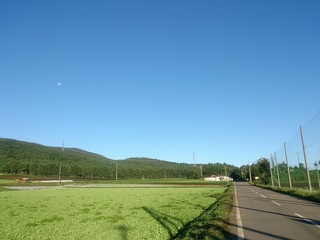 DSC_2430.jpg