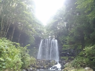 DSC_2454.jpg