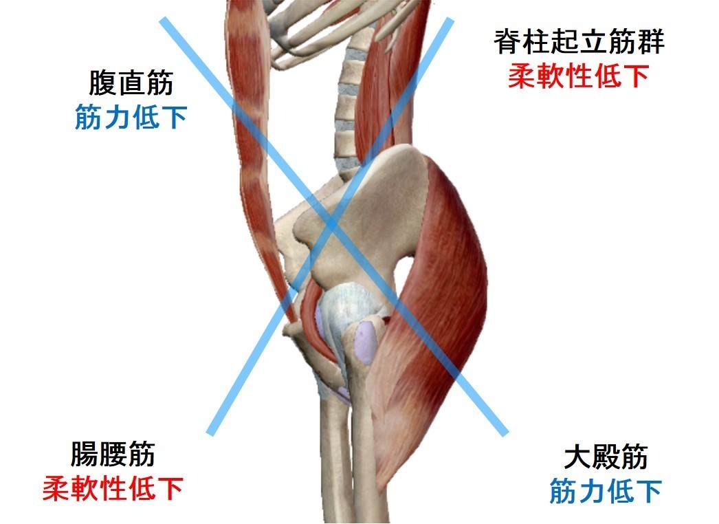 Pep Osaka活動報告 トレーニング情報